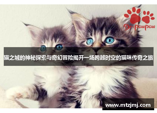 猫之城的神秘探索与奇幻冒险揭开一场跨越时空的猫咪传奇之旅